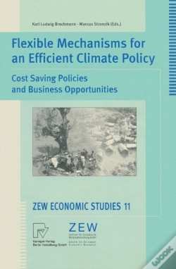 Capa do artigo Flexible Mechanisms For An Efficient Climate Policy
