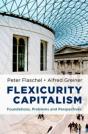 Flexicurity Capitalism - Preview