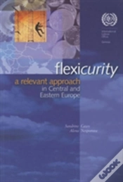 Capa do artigo Flexicurity