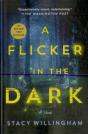 Flicker In The Dark - Preview