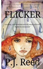 Capa do artigo Flicker