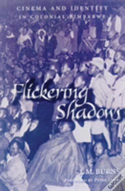 Capa do artigo Flickering Shadows