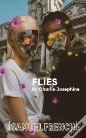 Capa do artigo Flies