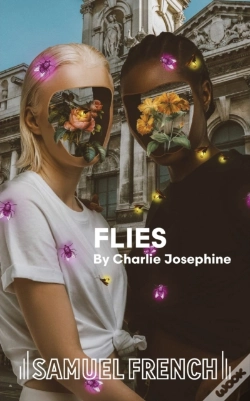 Capa do artigo Flies