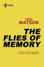 Flies Of Memory - Preview