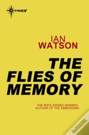 Capa do artigo Flies Of Memory