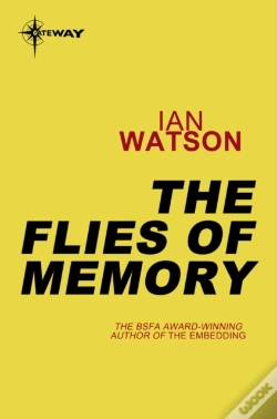 Capa do artigo Flies Of Memory