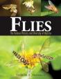 Flies - Preview