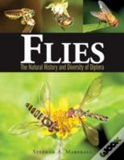 Capa do artigo Flies