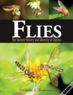Capa do artigo Flies