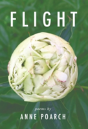 Flight - Preview