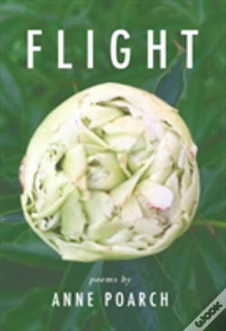 Capa do artigo Flight