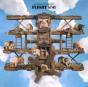 Flight B741 - Vinil - Preview
