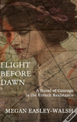Capa do artigo Flight Before Dawn