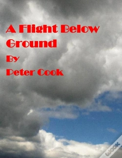 Capa do artigo Flight Below Ground
