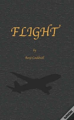 Capa do artigo Flight