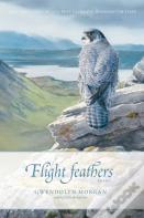 Flight Feathers