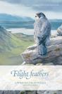 Flight Feathers - Preview