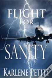 Capa do artigo Flight For Sanity