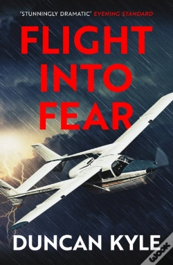 Capa do artigo Flight Into Fear