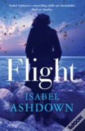 Capa do artigo Flight