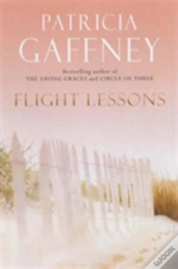 Capa do artigo Flight Lessons