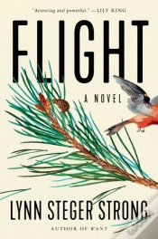 Capa do artigo Flight