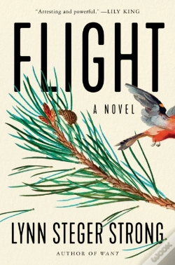Capa do artigo Flight
