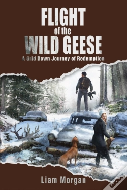 Capa do artigo Flight Of The Wild Geese: A Down Grid Jo