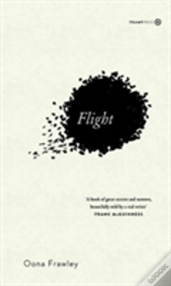Capa do artigo Flight