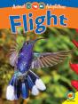 Flight - Preview