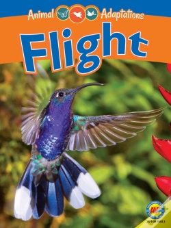 Capa do artigo Flight