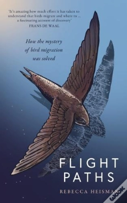 Capa do artigo Flight Paths