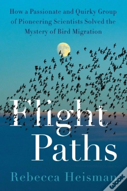 Capa do artigo Flight Paths