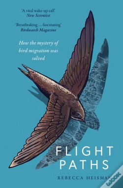 Capa do artigo Flight Paths