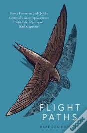 Capa do artigo Flight Paths