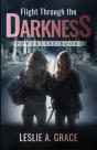 Flight Through The Darkness - Preview