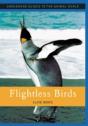 Flightless Birds - Preview