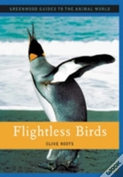Capa do artigo Flightless Birds