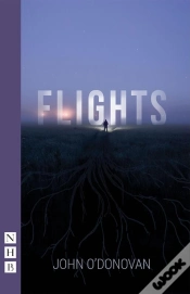 Capa do artigo Flights