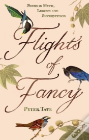 Capa do artigo Flights Of Fancy