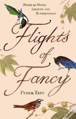 Capa do artigo Flights Of Fancy