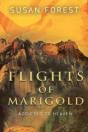 Flights Of Marigold - Preview