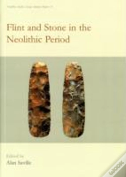 Capa do artigo Flint And Stone In The Neolithic Period