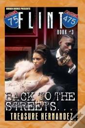 Capa do artigo Flint Book 3:
