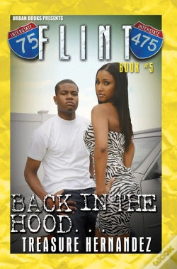 Capa do artigo Flint Book 5: