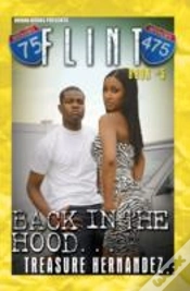 Capa do artigo Flint Book
