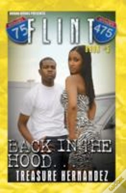 Capa do artigo Flint Book