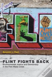 Capa do artigo Flint Fights Back