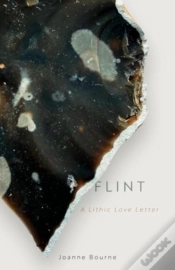 Capa do artigo Flint